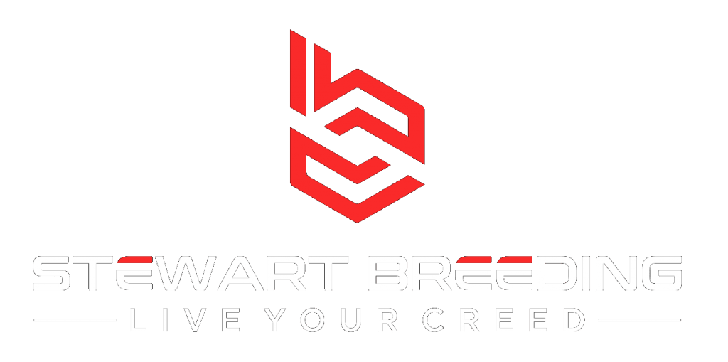 Stewlogo black